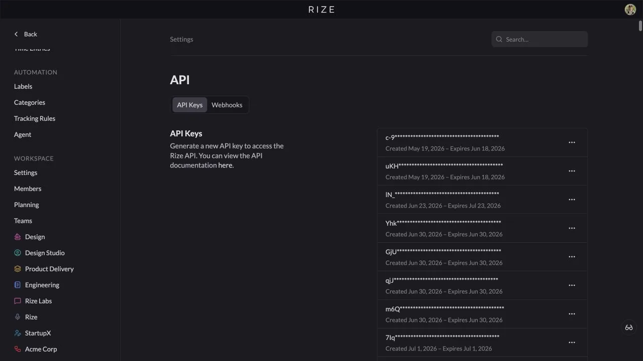 Rize API settings with API key management