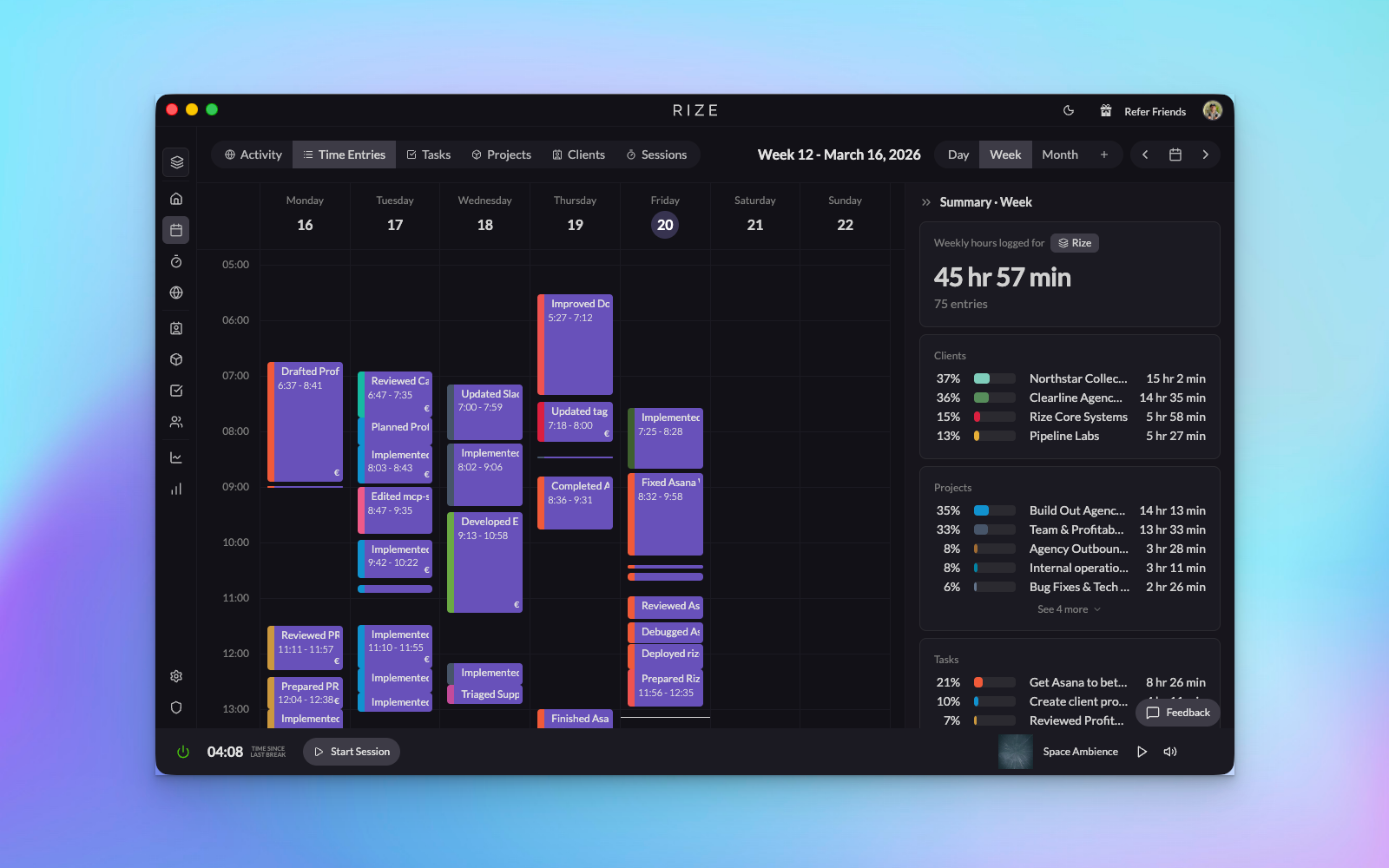 Rize Time Entries Week