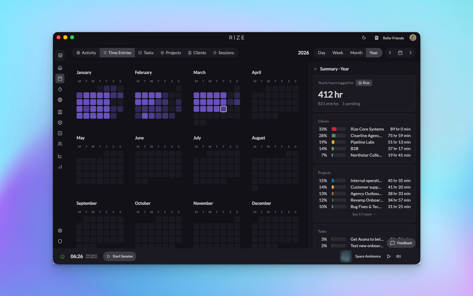 Rize Time Entries Year